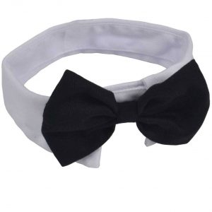 Adjustable Formal Bow Tie and Collar