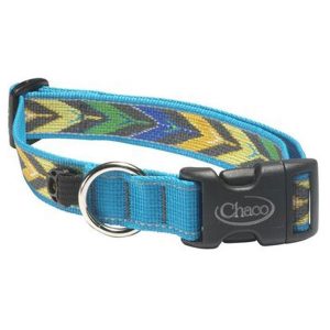 Chaco Unisex Dog Collar