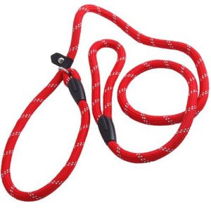 Facilla Pet Dog Nylon Adjustable Loop Slip Leash