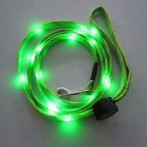 Light Up Dog Leash