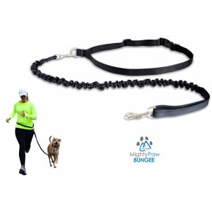 Mighty Paw Hands Free Dog Leash