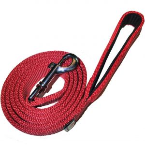 PetsLovers Durable Dog Leash