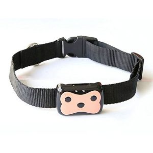 RoundSquare iPhone GPS Pet Tracker Locator Dog Collar