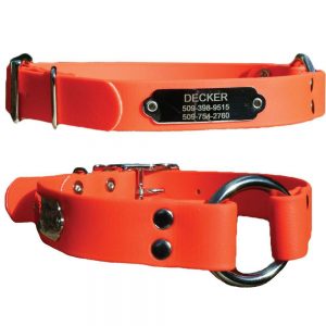 Sporting Dog Collar with Stainless Steel Personalized Nameplate