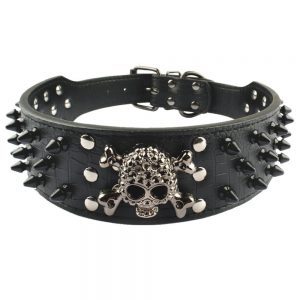 Berry Spiked Leather Dog Collar