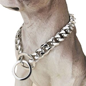 Designer Dog Collar Fancy Metal Slip Chain