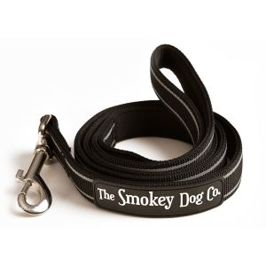 Dog Training and Walking Leash