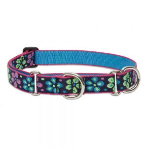 Lupine One Inch Flower Power Martingale Combo Collar