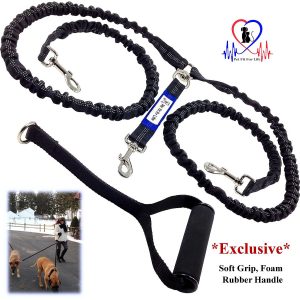 Pet Fit For Life Shock Absorbing Dual Leash For Dogs