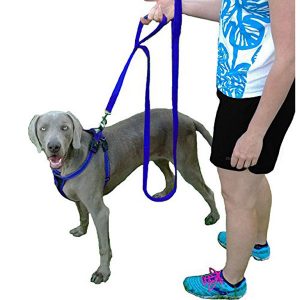 Two Loop Double Handled Dog Leash