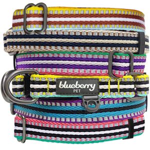 Blueberry Pet Reflective Stripe Dog Collar