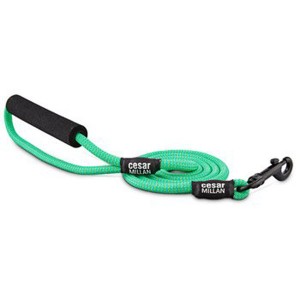 Braided Brights Blue Lime Rope Dog Leash