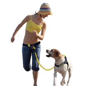 Fusion Pet K9 Hands Free Fitness Pack