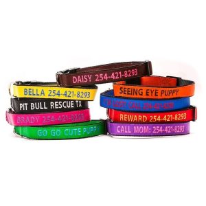 Go Go Cute Puppy Personalized Dog Collars