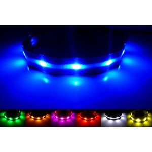 GoDoggie-GLOW USB Rechargeable LED Dog Safety Collar