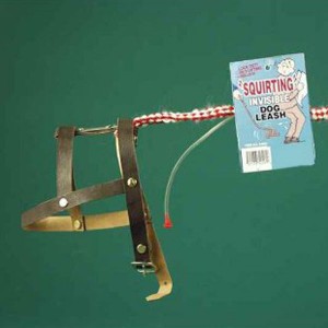 Invisible Dog Leash with Squirter