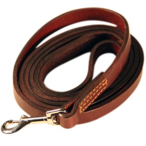 Logical Leather 6 Foot Dog Training Leash