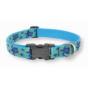 Lupine One Inch Turtle Reef Adjustable Collar