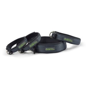 Mighty Paw Neoprene Padded Reflective Dog Collar