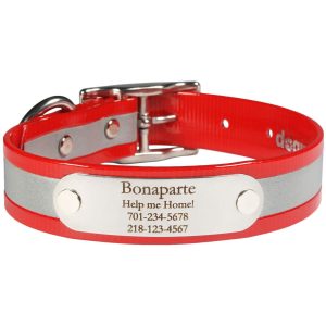 Reflective Dog Collar with Nameplate