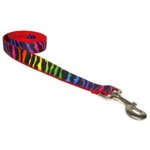 Sassy Dog Wear Dog Leash