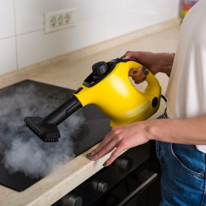 Best Steam Cleaner • Reviews & Buying Guide (September 2024)